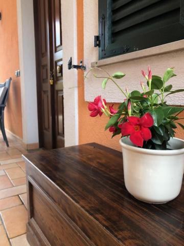 דירות ספלו Il Giardino Delle Rose מראה חיצוני תמונה