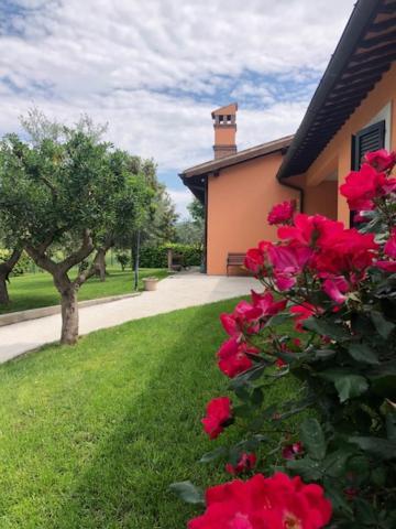 דירות ספלו Il Giardino Delle Rose מראה חיצוני תמונה