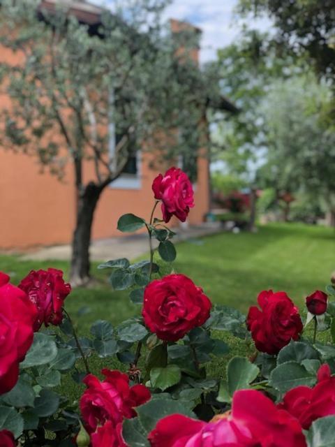 דירות ספלו Il Giardino Delle Rose מראה חיצוני תמונה